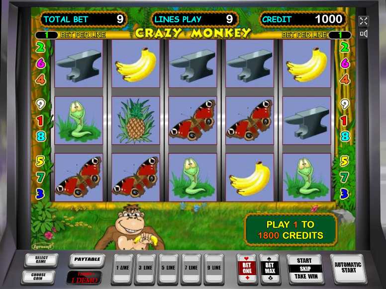 Скриншот игрового автомата Crazy Monkey